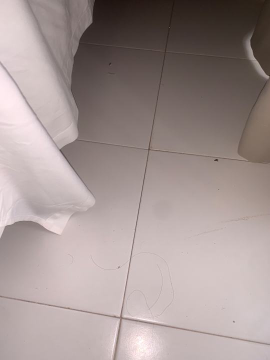 Zimmer Houda Golf & Beach Club