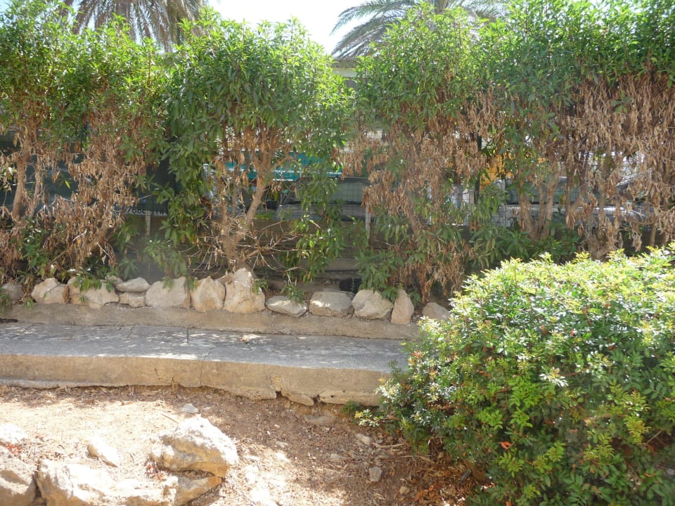 Zuweg zum Bungalow Sun Club Eldorado