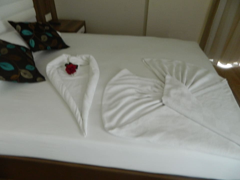 Kreativ Dizalya Palm Garden