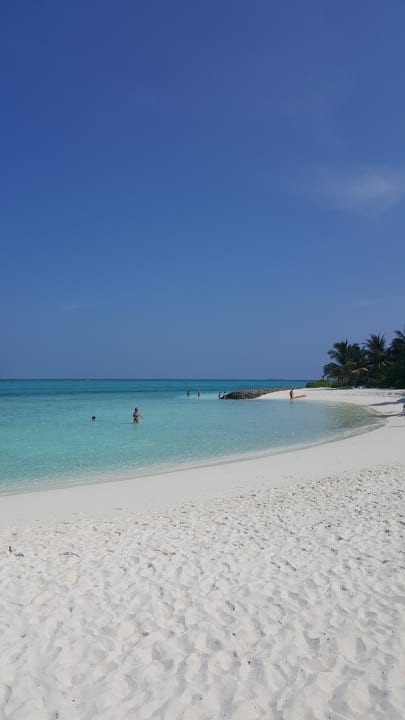 Strand Summer Island Maldives