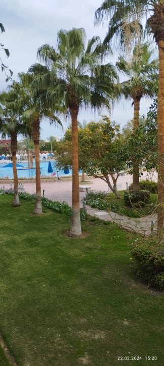 Ausblick Desert Rose