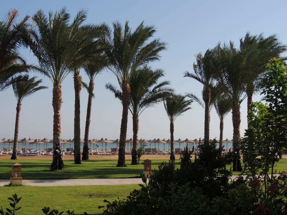 Ausblick Stella Beach Resort & Spa Makadi Bay