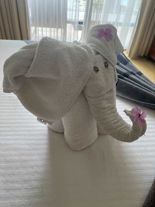 Zimmer Pandanus Beach Resort & Spa