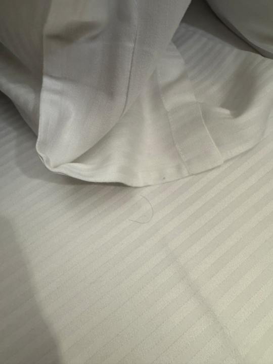 Zimmer Citadines Eurométropole Strasbourg