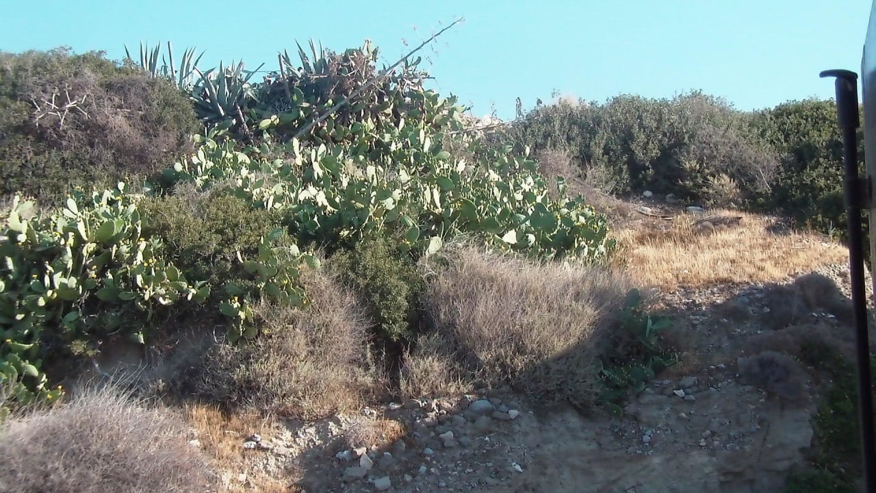 Ausblick hinten raus Hotel big BLUE