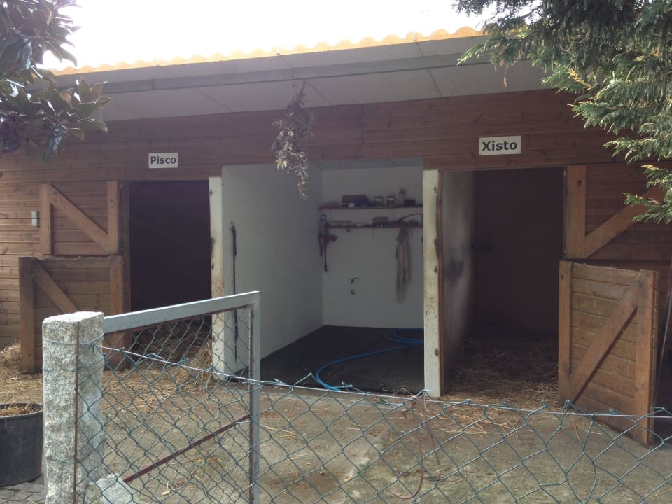 Pferdeboxen Ferienhof Quinta do Padrão