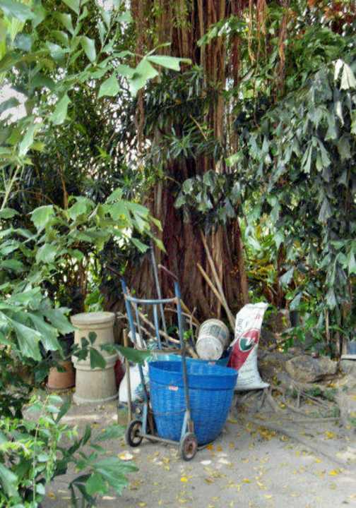 Zwischen den Bungalows Hotel The Cottage