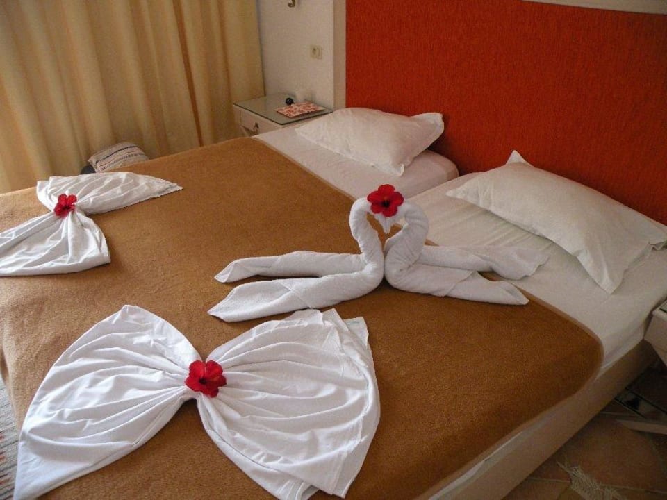 2 dináry dělají divy Hotel Marhaba Club