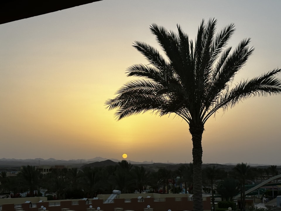 Ausblick Malikia Resort Abu Dabbab