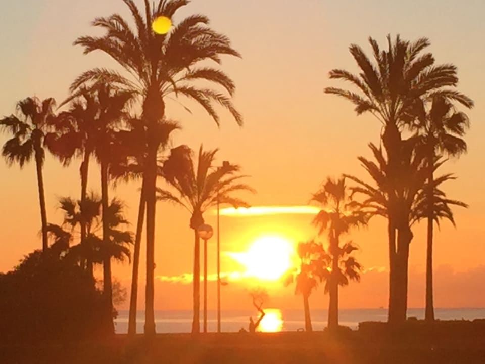 Gartenanlage allsun Hotel Bahia del Este