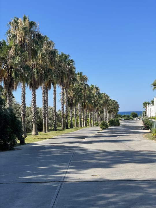 Strand Club Grand Aqua