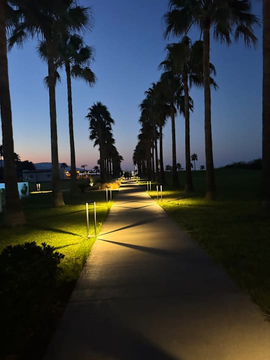 Ausblick Delfina Tropic Beach