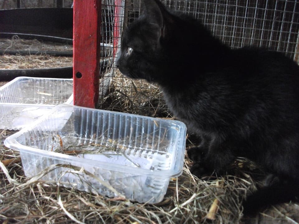 Sonstiges Wiesenberghof