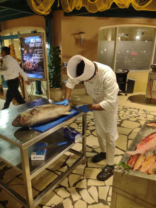 Gastro Club Paradisio El Gouna, Red Sea