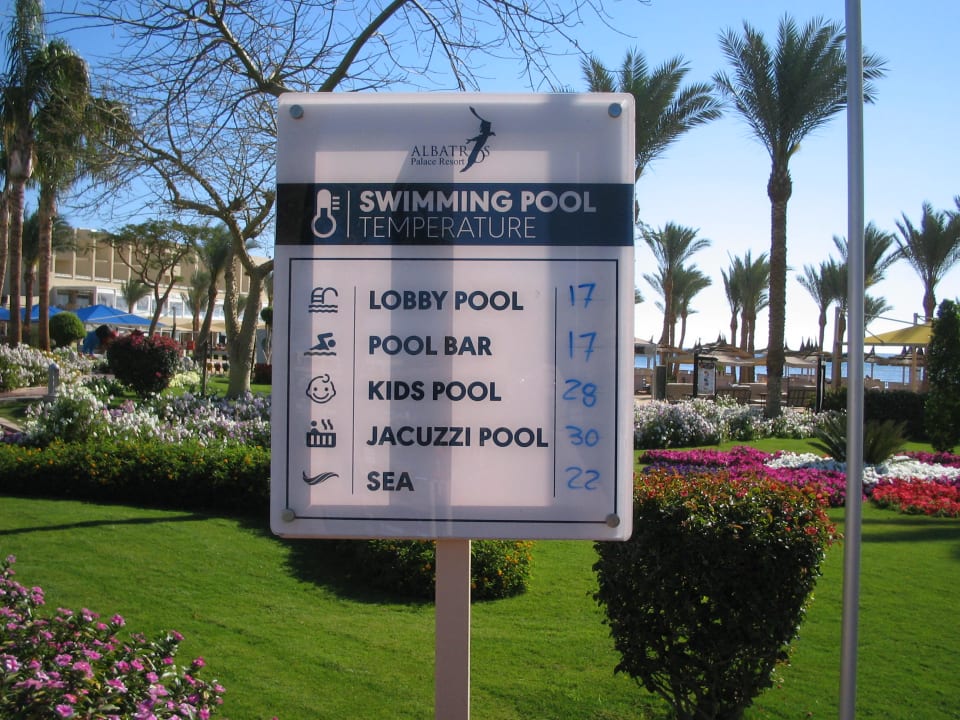 Pool Pickalbatros Palace Resort