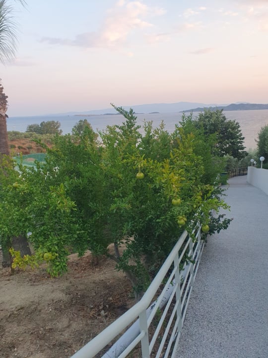 Außenansicht Akrathos Beach Hotel