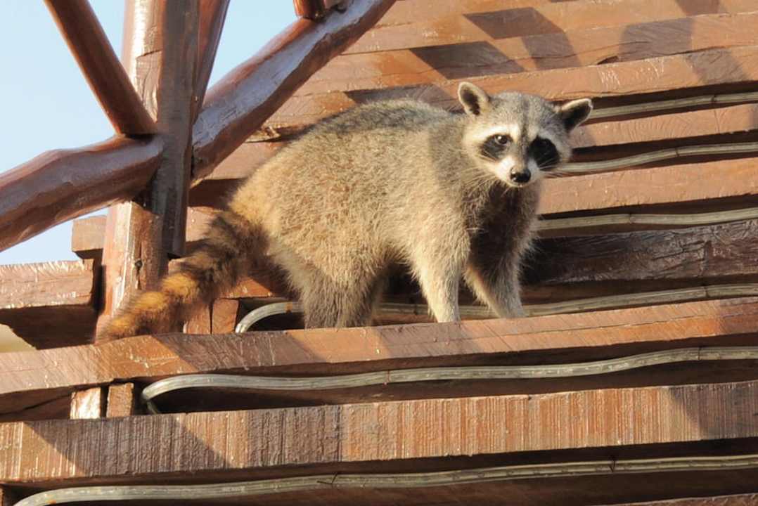 Hotelbewohner Grand Palladium Select White Sand Resort & Spa