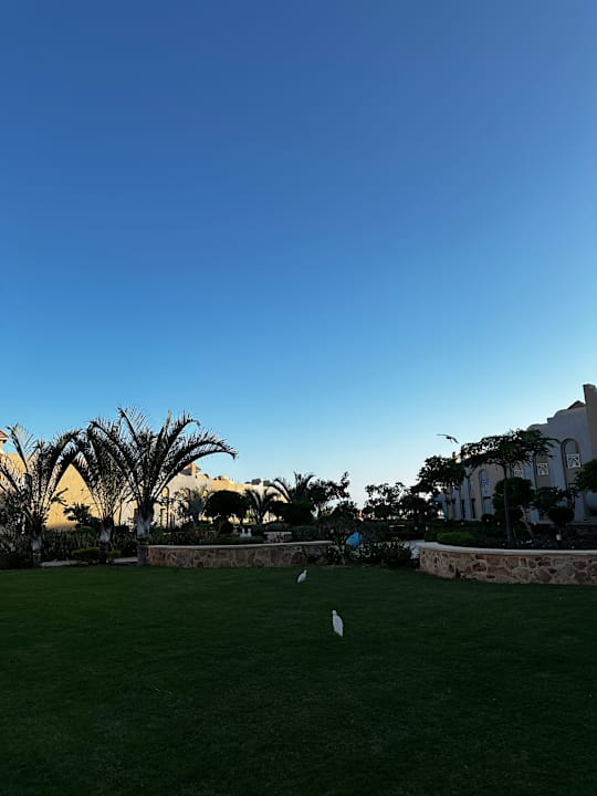 Außenansicht Lazuli Hotel Marsa Alam