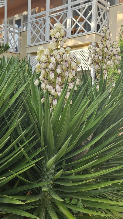 Sonstiges Asteria Family Resort Side