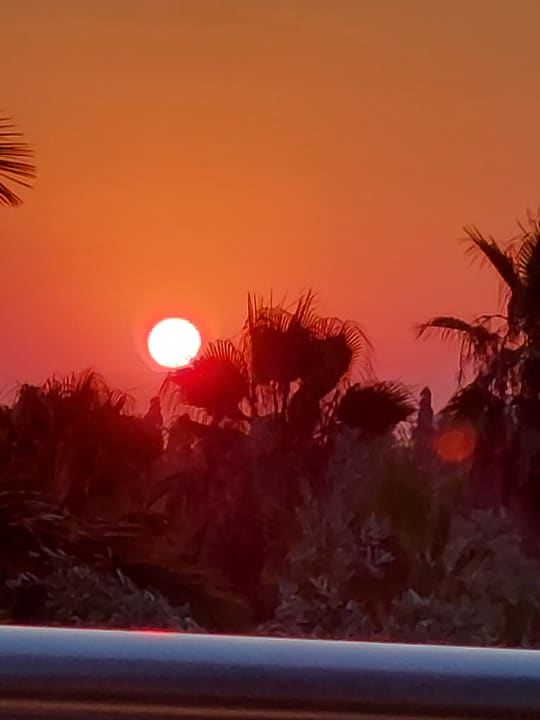 Außenansicht Seaden Sea World Resort & Spa