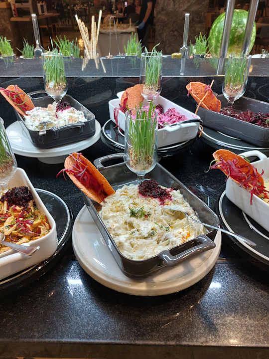 Gastro Seashell Vega