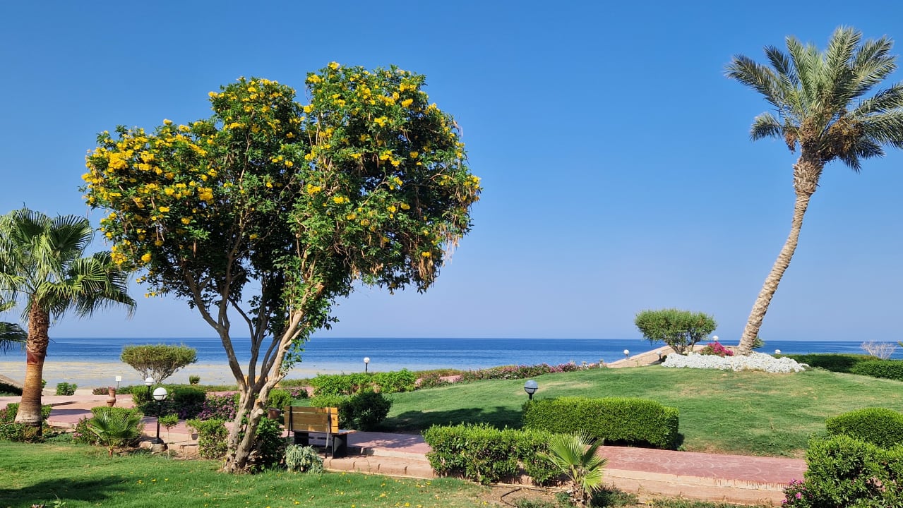 Gartenanlage Three Corners Equinox Beach Resort