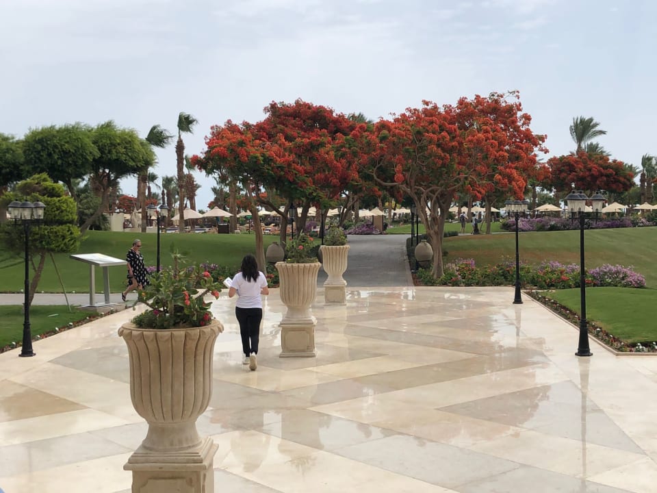 Gartenanlage Steigenberger ALDAU Beach Hotel