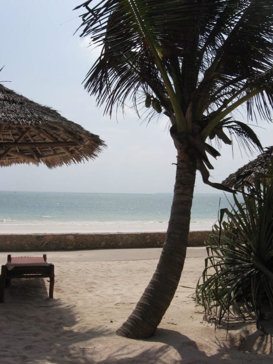 Relax! Jaz Adonia Beach Resort