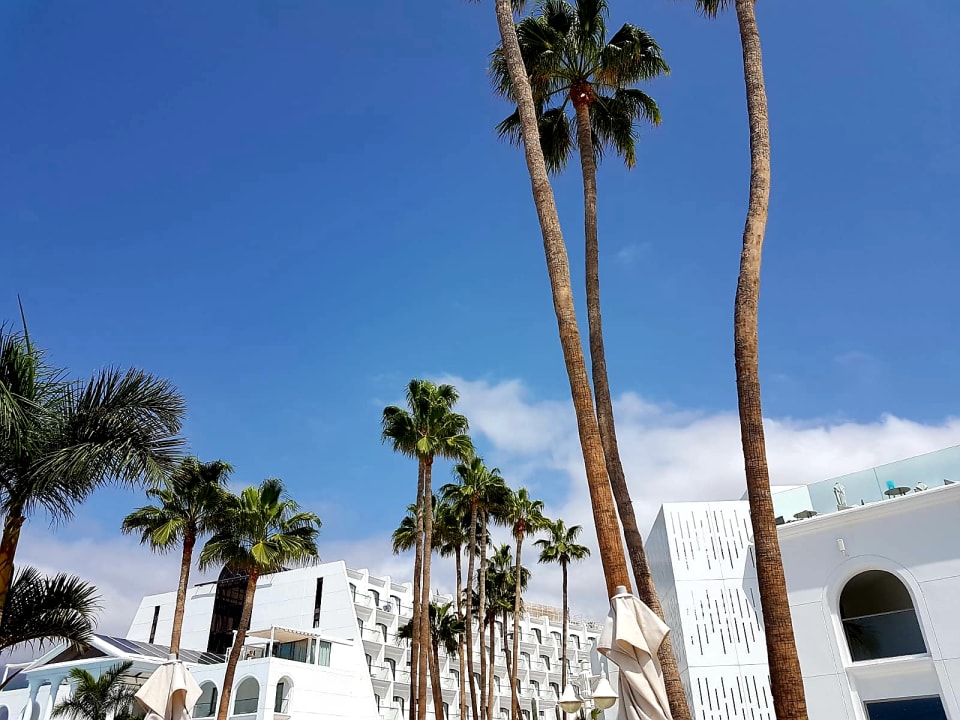 Ausblick Guayarmina Princess