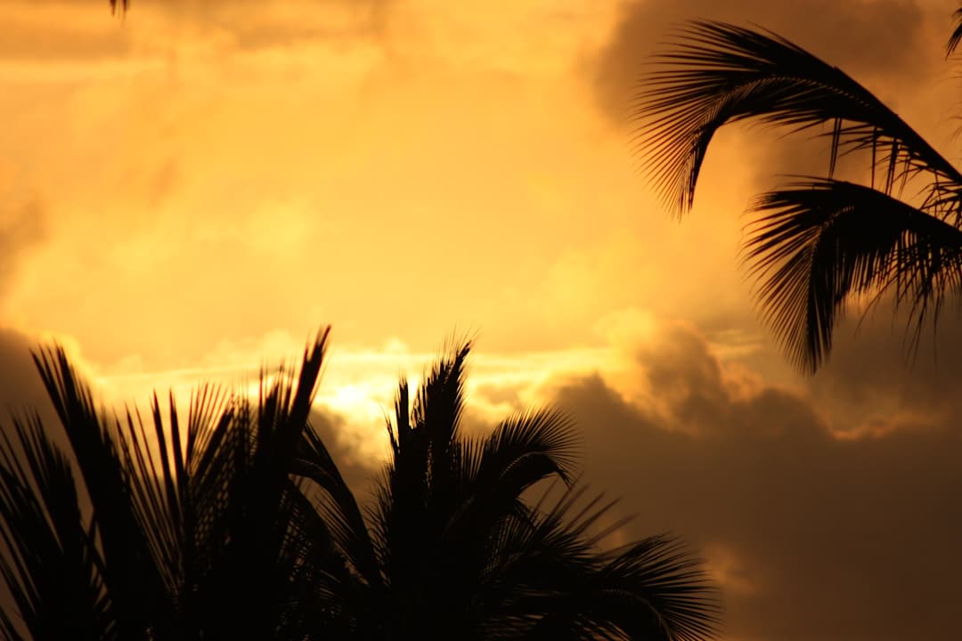 Sonnenaufgang vom Zimmer 3218 aus Punta Cana Princess All Suites Resort & Spa