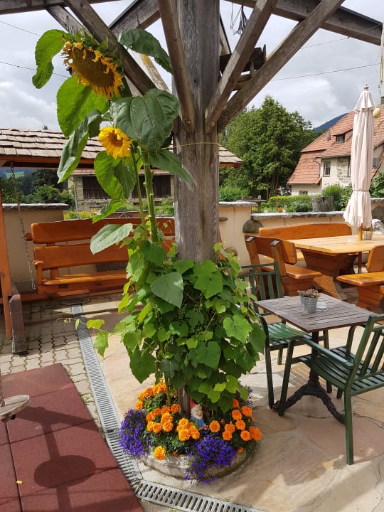 Gartenanlage Gasthof Knappenwirt