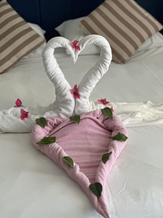 Zimmer Hotel Delphin Diva