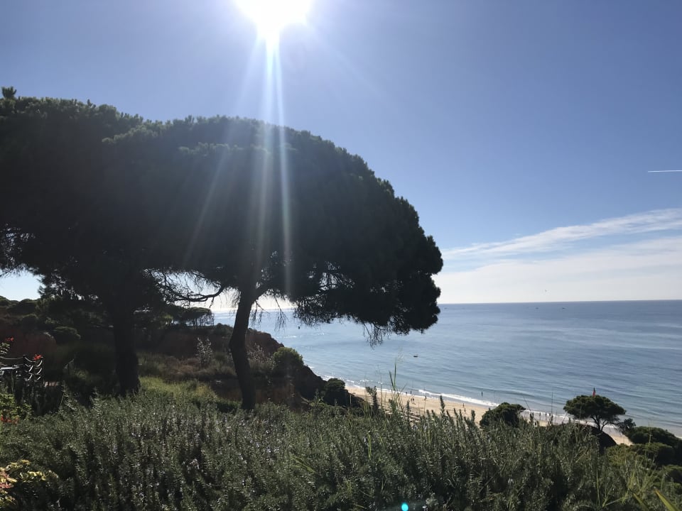 Außenansicht PortoBay Falésia