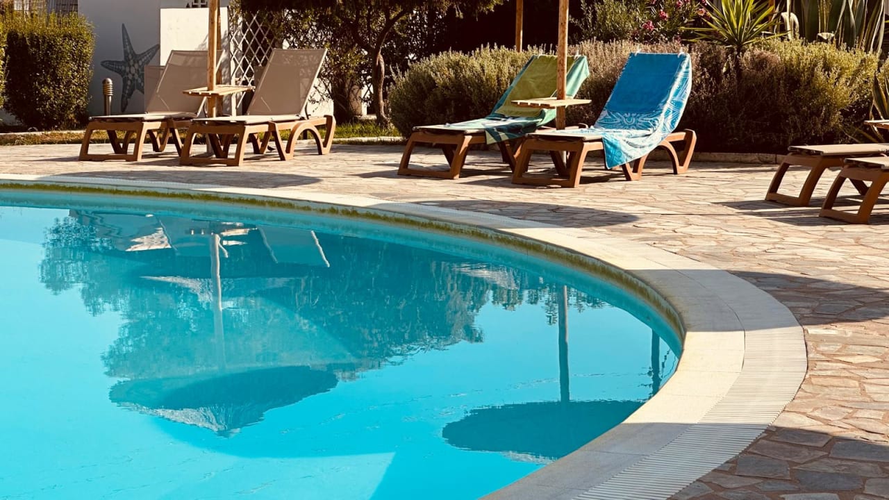 Pool Hotel Albatros
