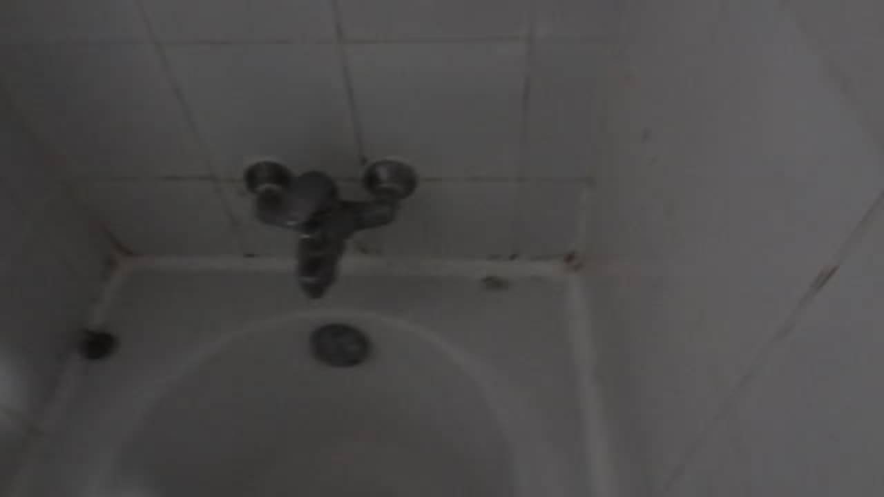 Alt und schimmlig oder? Starfish Montehabana