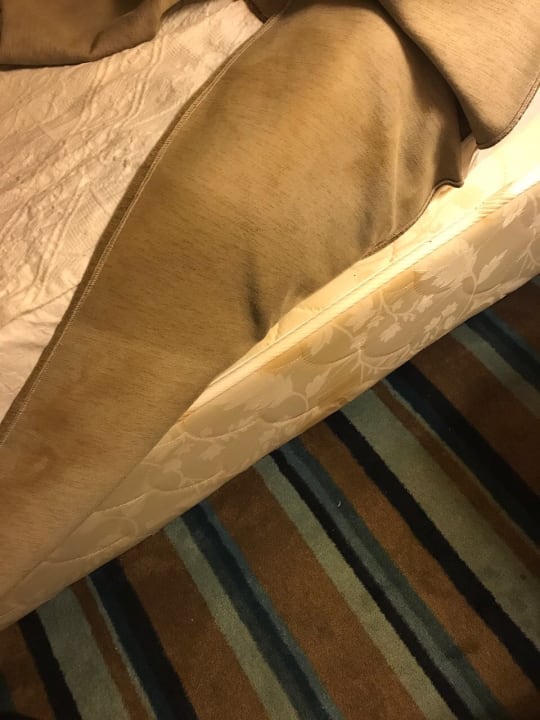 Zimmer Hotel Pine Bay Holiday Resort