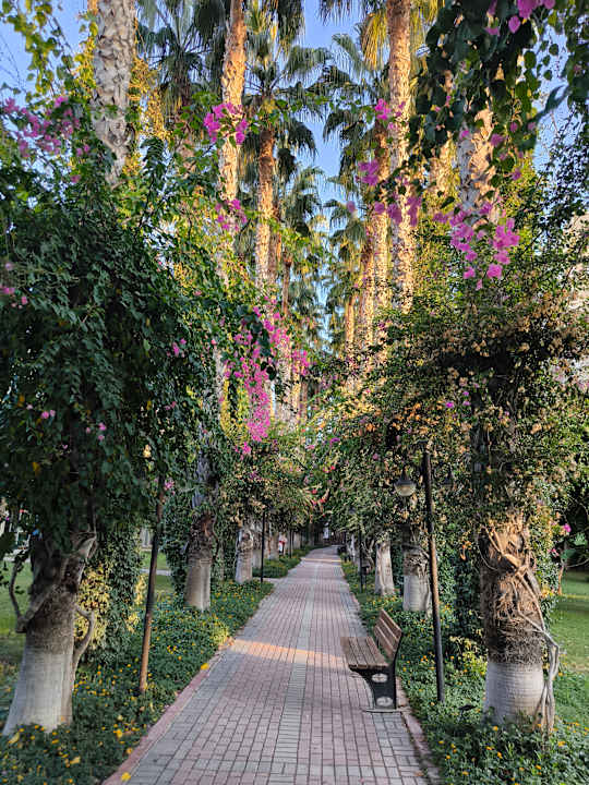 Gartenanlage Hotel Gardenia Beach