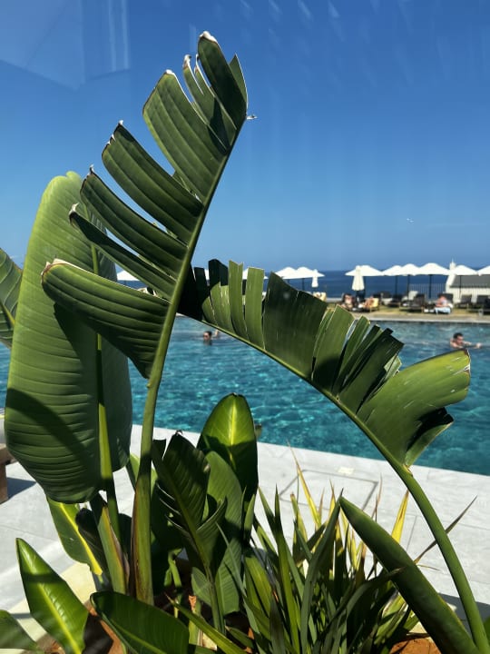 Pool Isla Brown Chania Resort, Curio Collection by Hilton