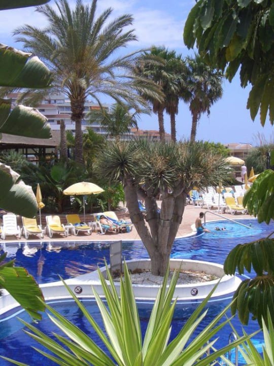 Poolbereich Landmar Playa La Arena