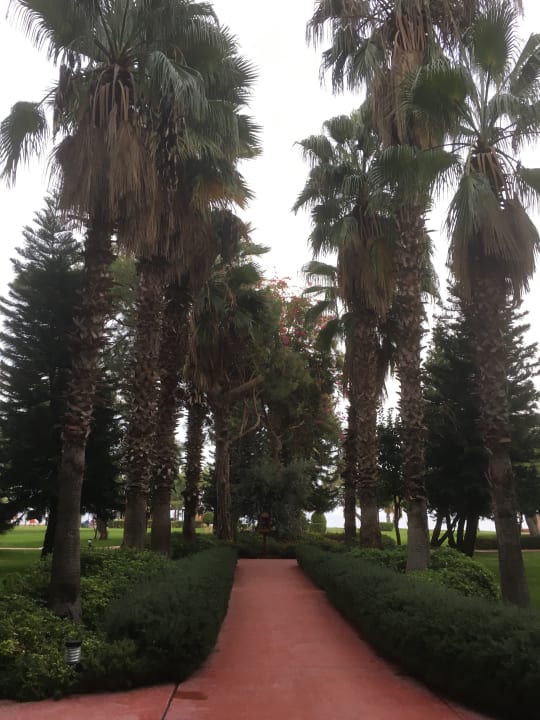 Gartenanlage TUI MAGIC LIFE Beldibi +16