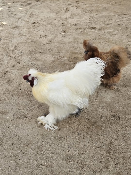 Sport & Freizeit Thavorn Palm Beach Resort Phuket