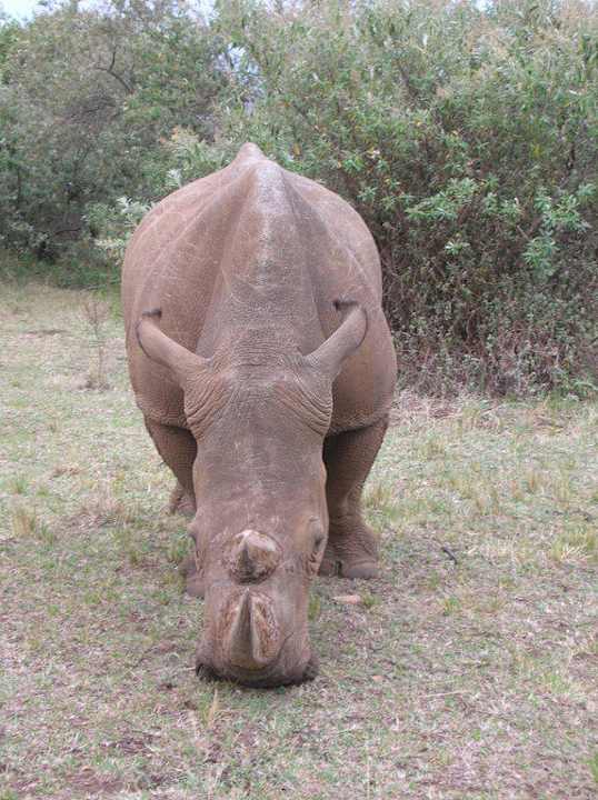 Bei den Rangern in der Massai Mara Royal Mara Safari Lodge