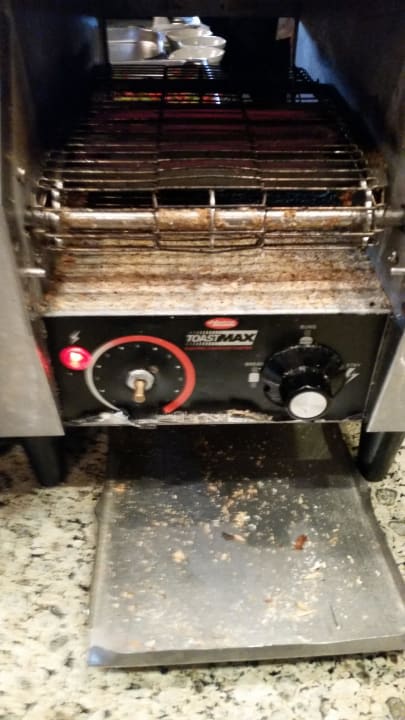 Toaster lecker seit Monaten nicht mehr gereinigt  Marina Lodge At Port Ghalib