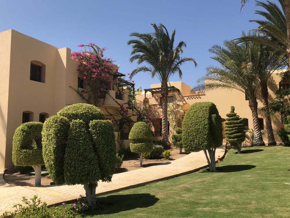 Gartenanlage Steigenberger Coraya Beach - Adults only