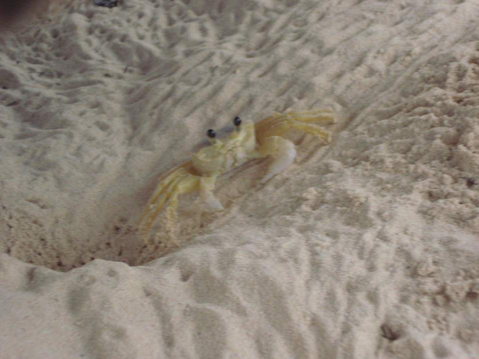 Klein Spike Punta Cana Princess All Suites Resort & Spa