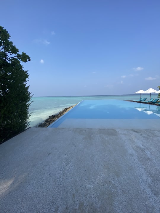 Pool Summer Island Maldives