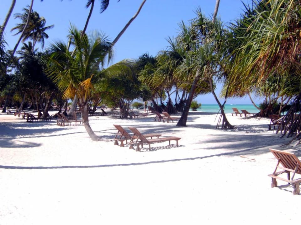 Liegen, Liegen, Liegen Neptune Pwani Beach Resort & Spa