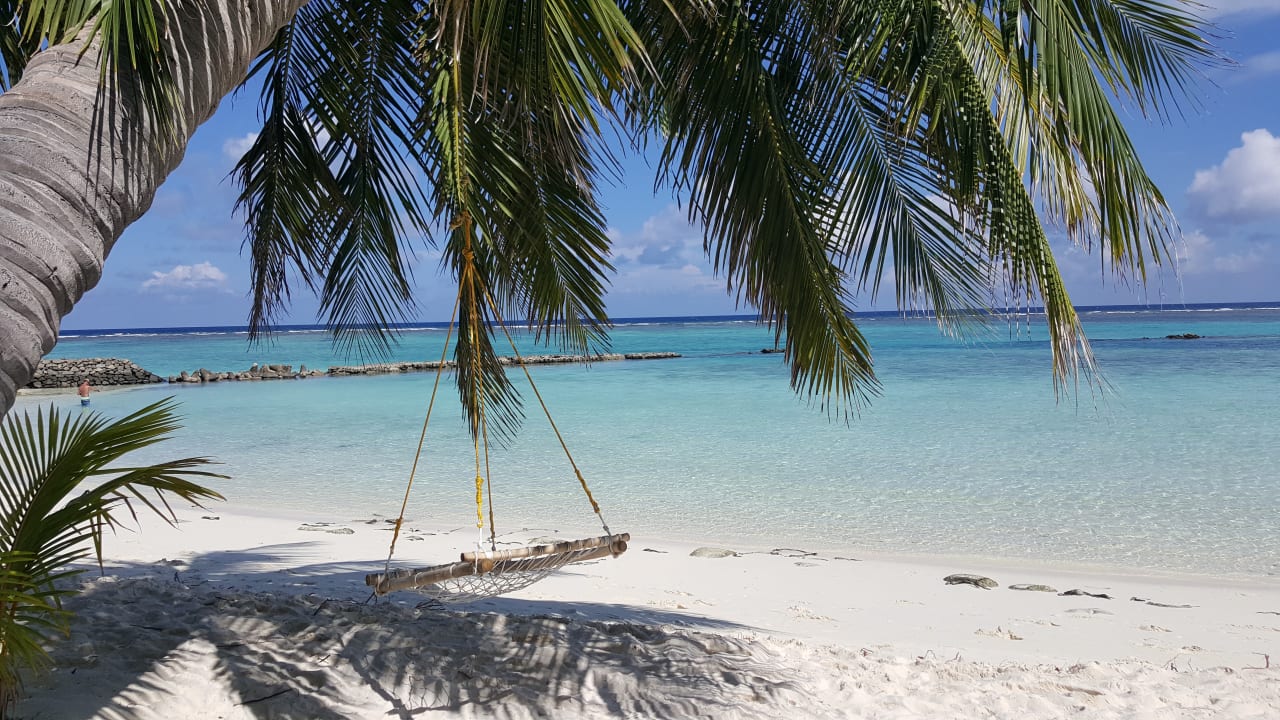 Strand Summer Island Maldives