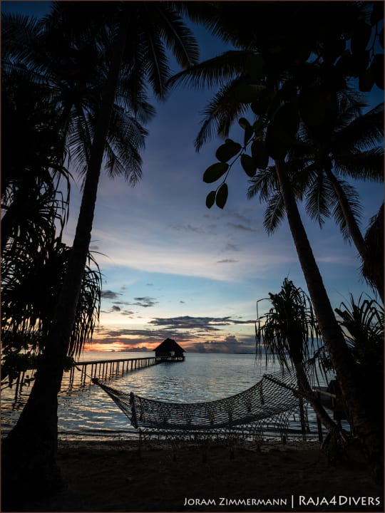 Ausblick Raja4divers Resort