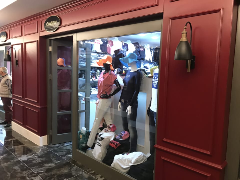 Sonstiges Seashell Vega